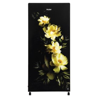 Haier Direct Cool Refrigerator HRD-2061SCGA-N (185 Ltrs, Coral Charm Glass)