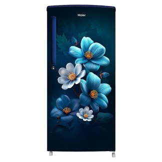 Haier Direct Cool Refrigerator HRD-2061SMAA-N (185 Ltrs, Marine Anemone)