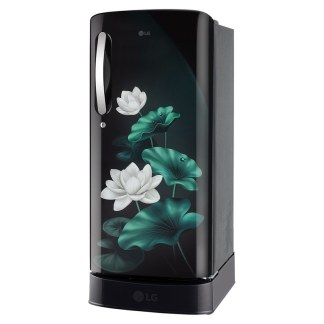 LG Direct Cool Refrigerator GLD1956ZAEL (185 Ltrs, Emerald Lotus)
