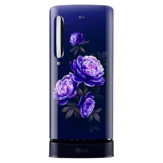 LG Direct Cool Refrigerator GLD1956ZARG (185 Ltrs)