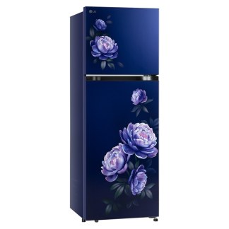 LG Frost Free Refrigerator GLT2516WWRG (251 Ltrs, Royal Glory)