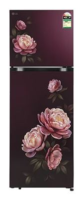 LG Frost Free Refrigerator GLT2516WWWG (251 Ltrs)