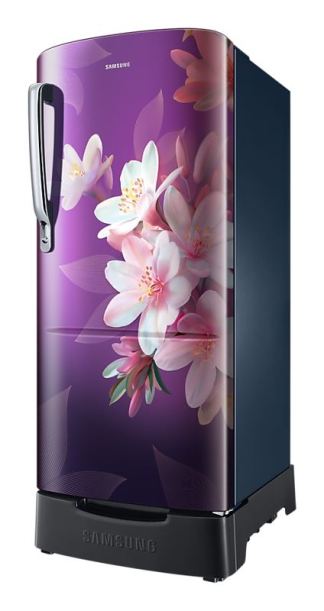 Samsung Direct Cool Refrigerator RR20H1823WB (183 Ltrs)