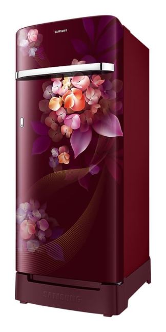Samsung Direct Cool Refrigerator RR23H2H34HT/HL (215 Ltrs)