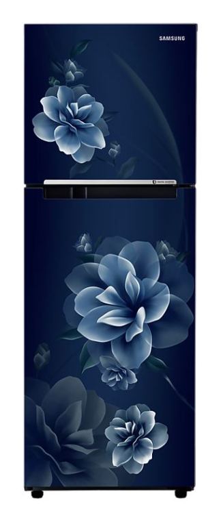 Samsung Frost Free Refrigerator RT28C3022CU
