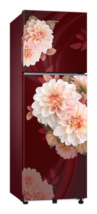 Samsung Frost Free Refrigerator RT40H30U2BRHL (256 Ltrs)